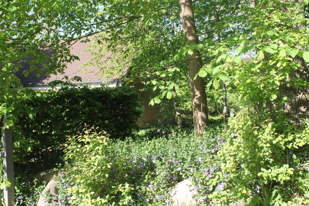 Apartmán Altes Waschhaus Krakvitz Putbus Exteriér fotografie
